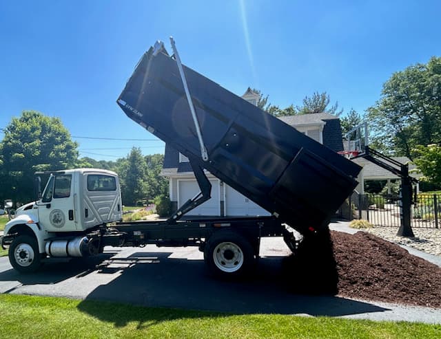 Green Giant Arborvitae Installation in NJ - Image 5