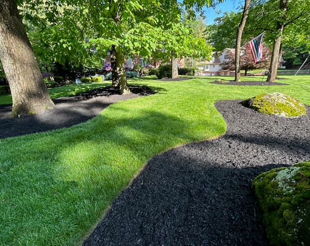 Green Giant Arborvitae Installation in NJ - Image 6