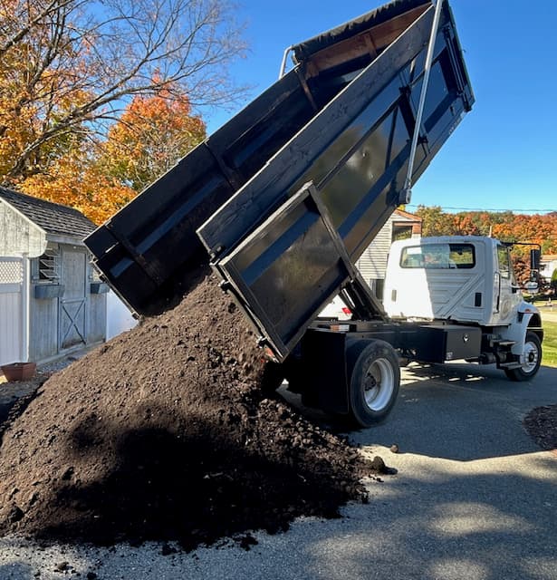 Green Giant Arborvitae Installation in NJ - Image 9